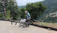 绿色防控“护”出村落复兴新图景