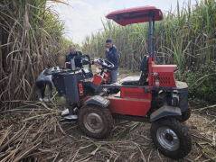意愿办事到田间 手艺赋能破难题——自治区农业